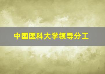 中国医科大学领导分工