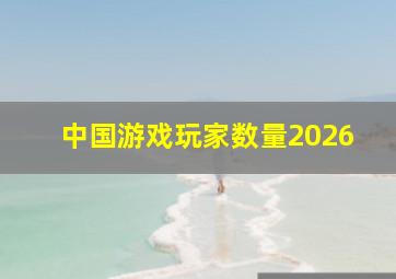 中国游戏玩家数量2026