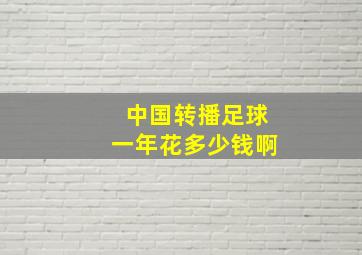 中国转播足球一年花多少钱啊