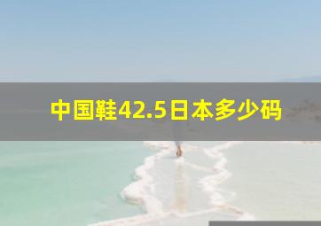 中国鞋42.5日本多少码