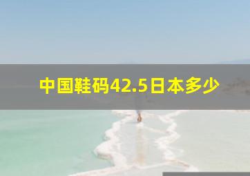 中国鞋码42.5日本多少