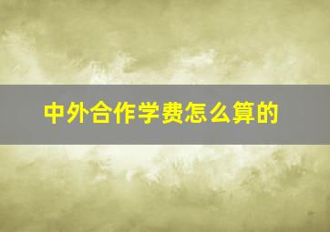 中外合作学费怎么算的