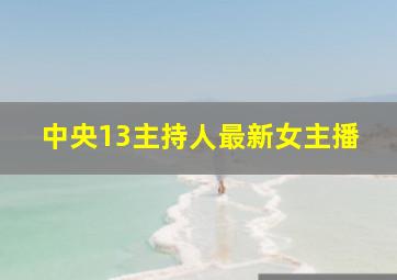 中央13主持人最新女主播