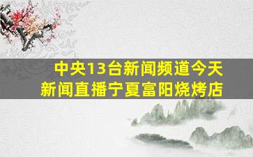 中央13台新闻频道今天新闻直播宁夏富阳烧烤店