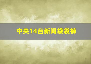 中央14台新闻袋袋裤