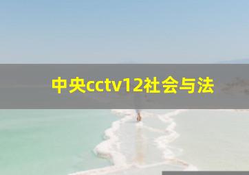 中央cctv12社会与法