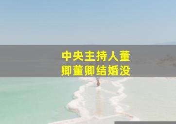 中央主持人董卿董卿结婚没