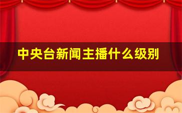 中央台新闻主播什么级别