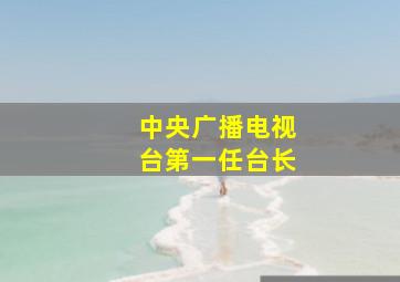 中央广播电视台第一任台长