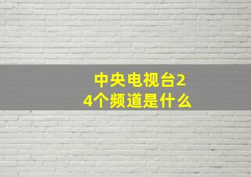 中央电视台24个频道是什么