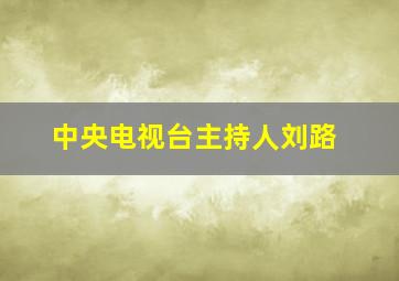 中央电视台主持人刘路