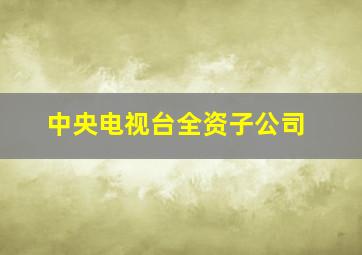 中央电视台全资子公司