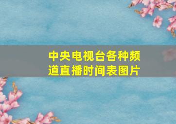 中央电视台各种频道直播时间表图片