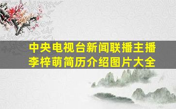 中央电视台新闻联播主播李梓萌简历介绍图片大全