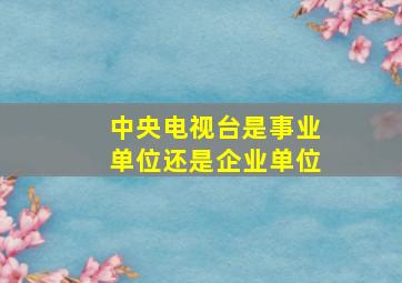 中央电视台是事业单位还是企业单位