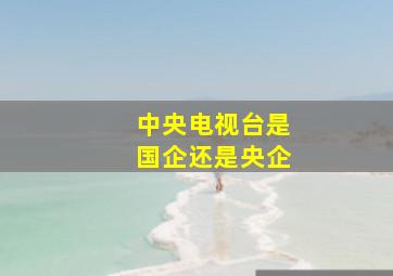 中央电视台是国企还是央企