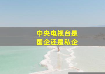 中央电视台是国企还是私企