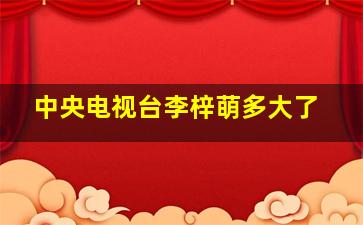 中央电视台李梓萌多大了