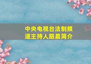 中央电视台法制频道主持人路晨简介