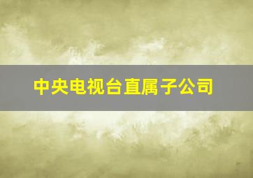 中央电视台直属子公司