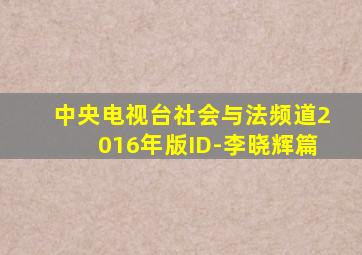 中央电视台社会与法频道2016年版ID-李晓辉篇