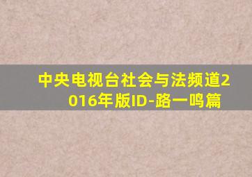 中央电视台社会与法频道2016年版ID-路一鸣篇