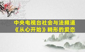 中央电视台社会与法频道《从心开始》畸形的爱恋