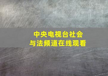 中央电视台社会与法频道在线观看