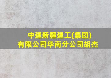 中建新疆建工(集团)有限公司华南分公司胡杰