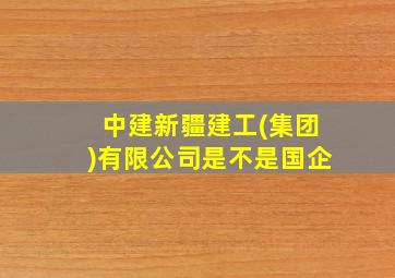 中建新疆建工(集团)有限公司是不是国企