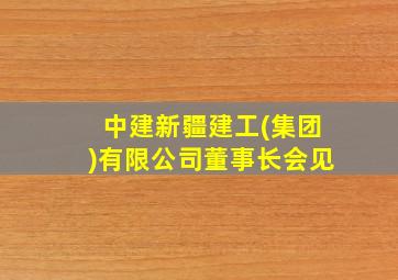 中建新疆建工(集团)有限公司董事长会见