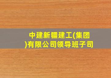 中建新疆建工(集团)有限公司领导班子司