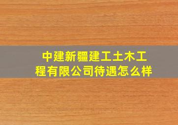 中建新疆建工土木工程有限公司待遇怎么样