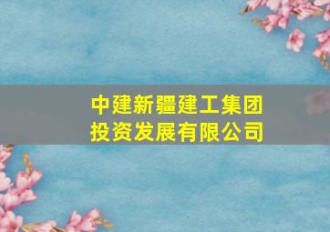 中建新疆建工集团投资发展有限公司