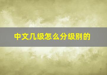 中文几级怎么分级别的