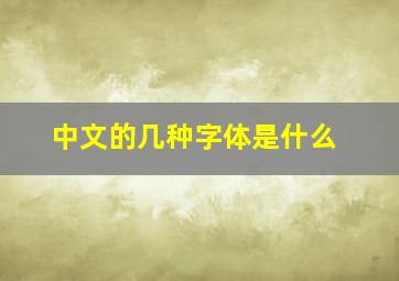 中文的几种字体是什么