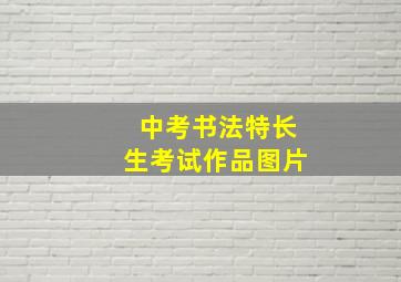 中考书法特长生考试作品图片