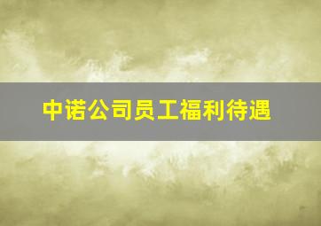 中诺公司员工福利待遇