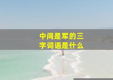 中间是军的三字词语是什么