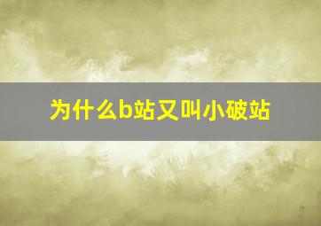 为什么b站又叫小破站