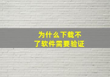 为什么下载不了软件需要验证