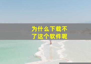 为什么下载不了这个软件呢