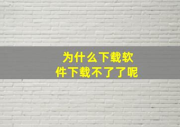 为什么下载软件下载不了了呢