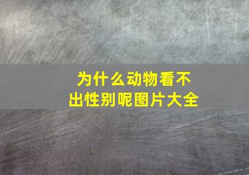 为什么动物看不出性别呢图片大全