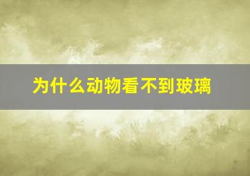 为什么动物看不到玻璃