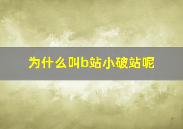 为什么叫b站小破站呢