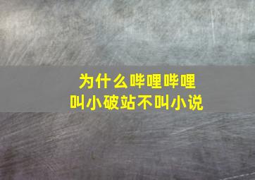 为什么哔哩哔哩叫小破站不叫小说