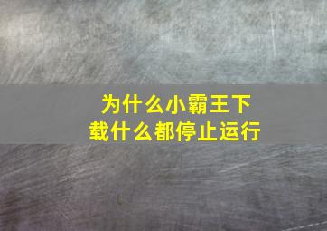 为什么小霸王下载什么都停止运行