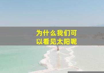 为什么我们可以看见太阳呢