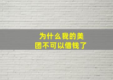 为什么我的美团不可以借钱了